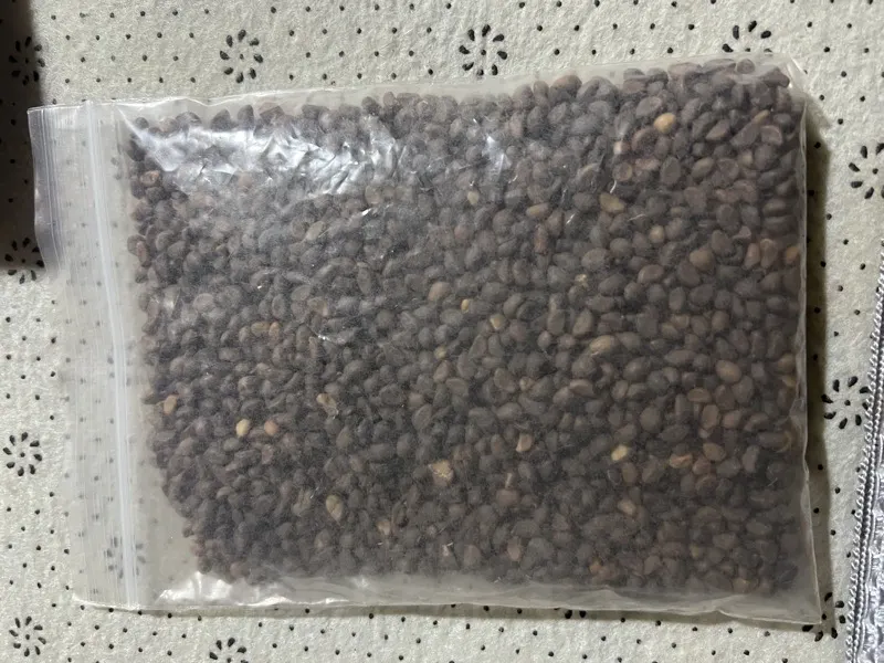 ត្រកួនកញ្ចប់តូច