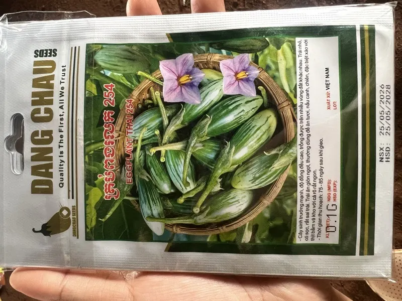 ត្រប់ពងរលក
