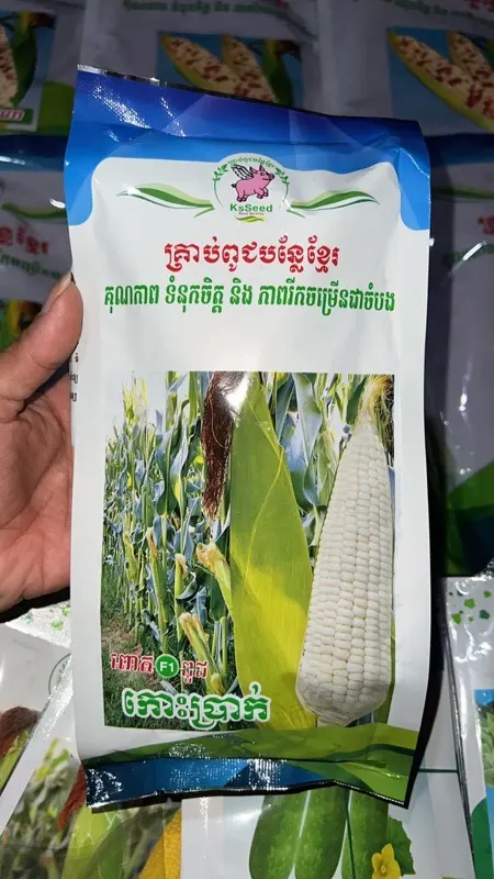 ពោតដំណើប កោះប្រាក់