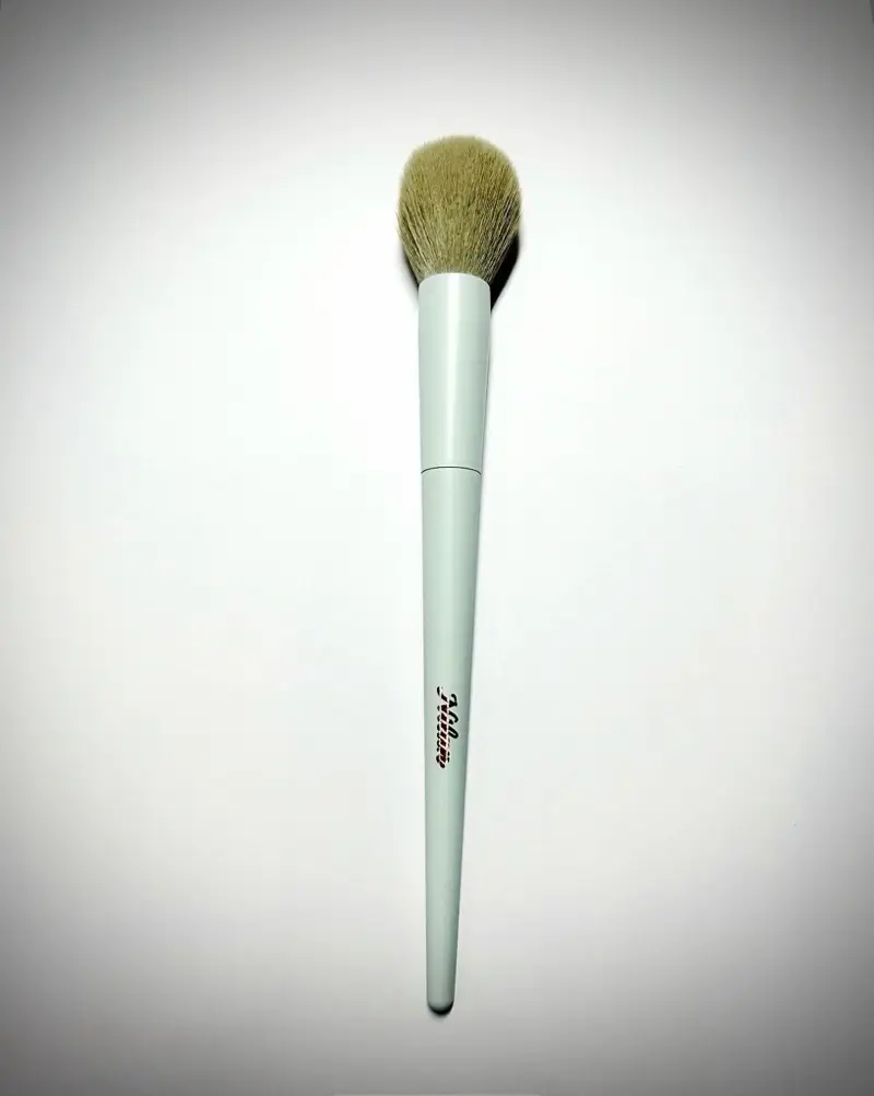 Brush