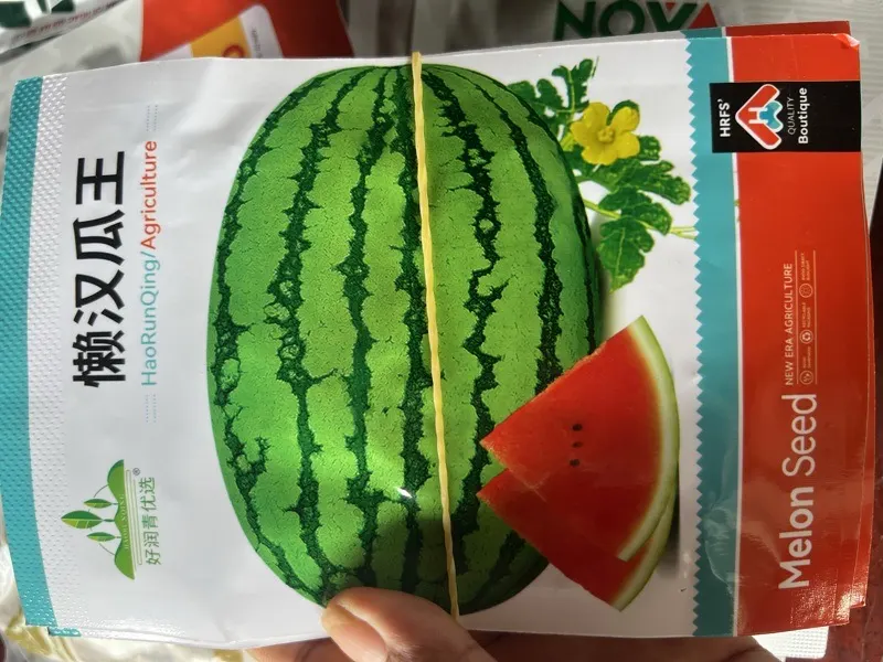 ឪឡឹកទ្រូក្រហម