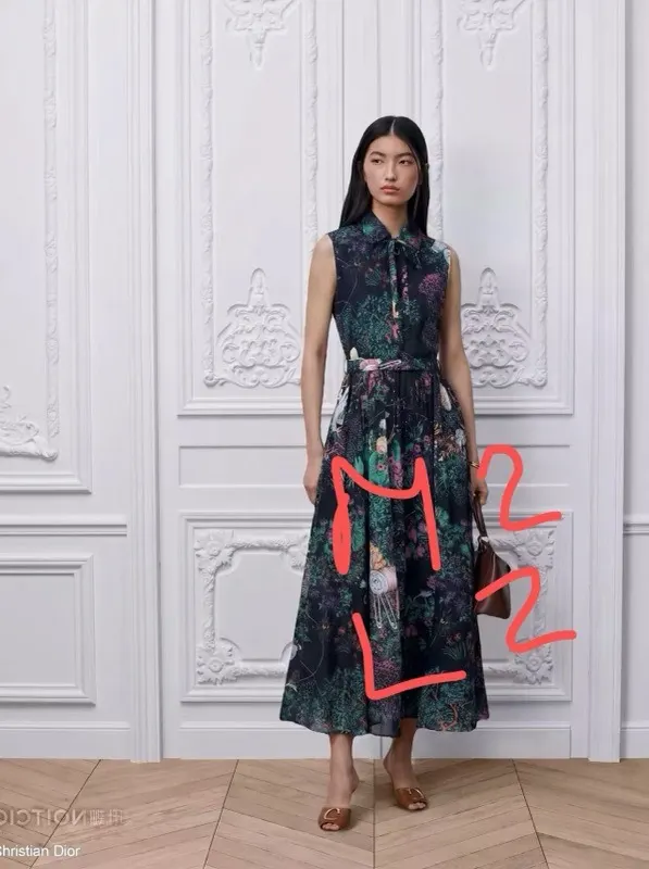 dior dress