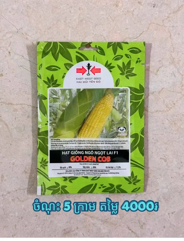 ពោតផ្អែមតូច ព្រួញ