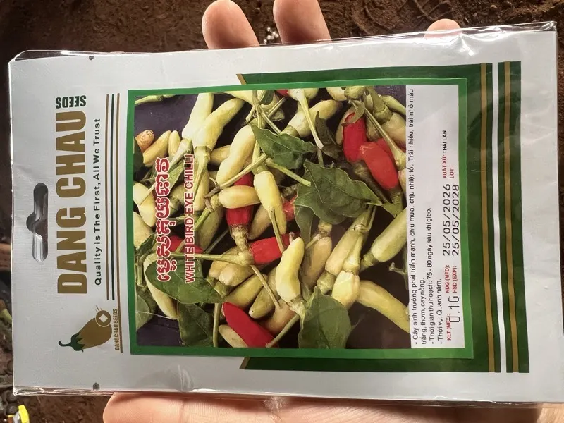 ម្ទេសគុយទាវ