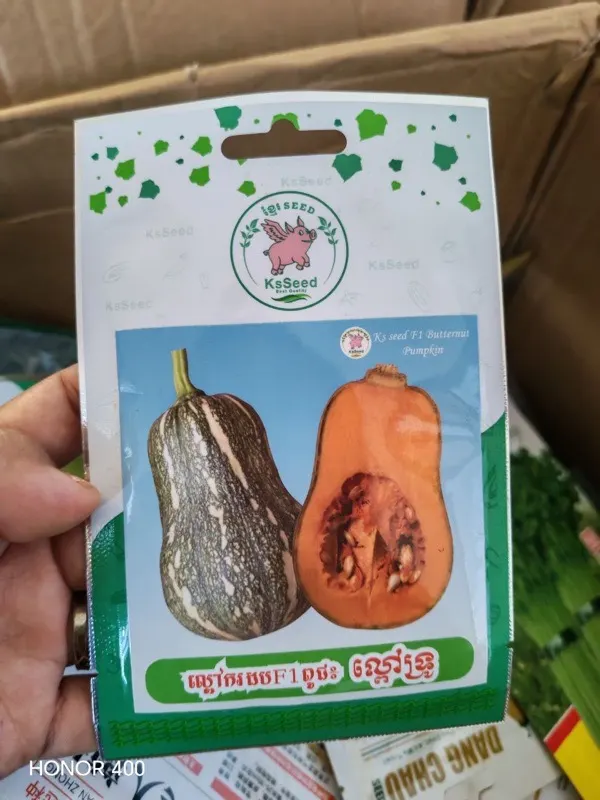 ល្ពៅឃ្លោក